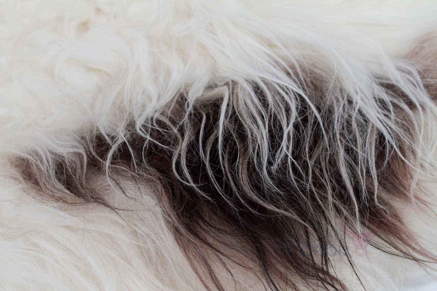Icelandic Sheepskin - Spot