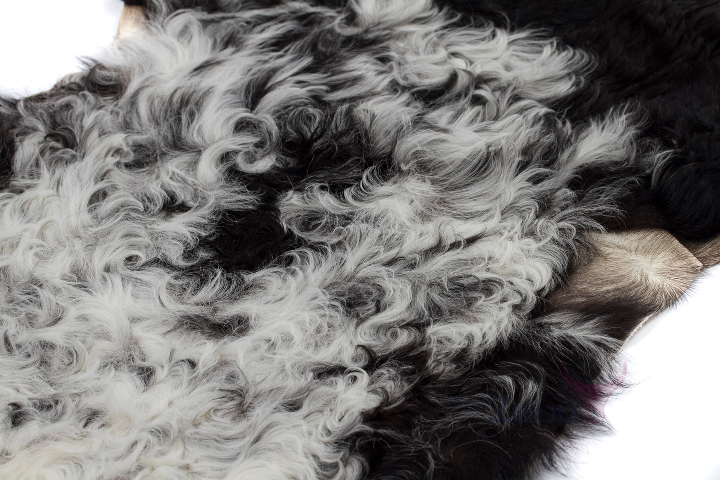 Curly Sheepskin - Black