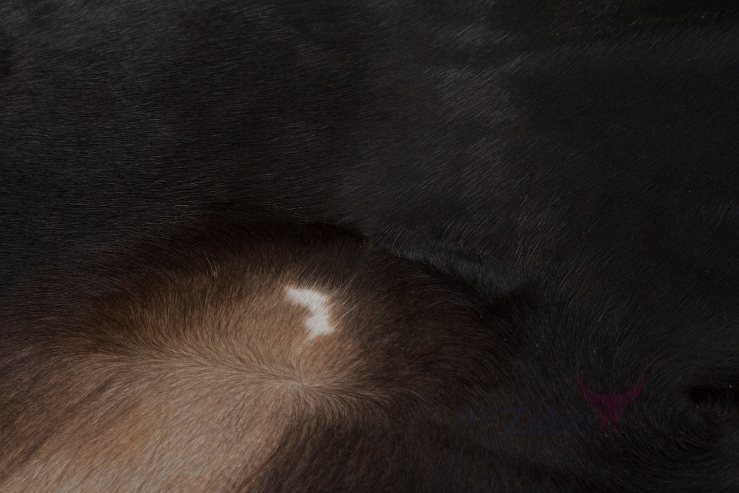 Cow hide natural - Black Angus