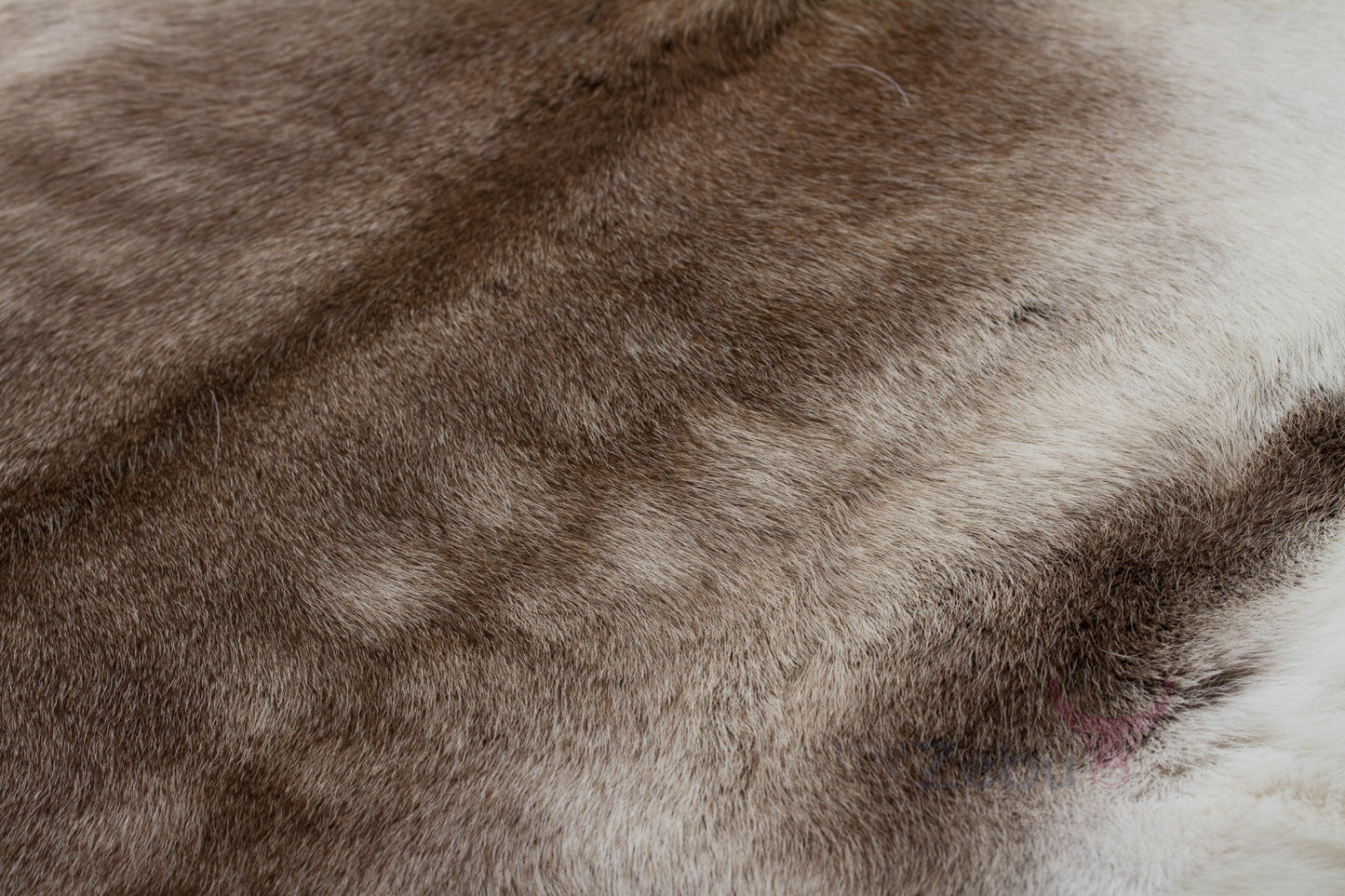 Reindeer Hide - Natural