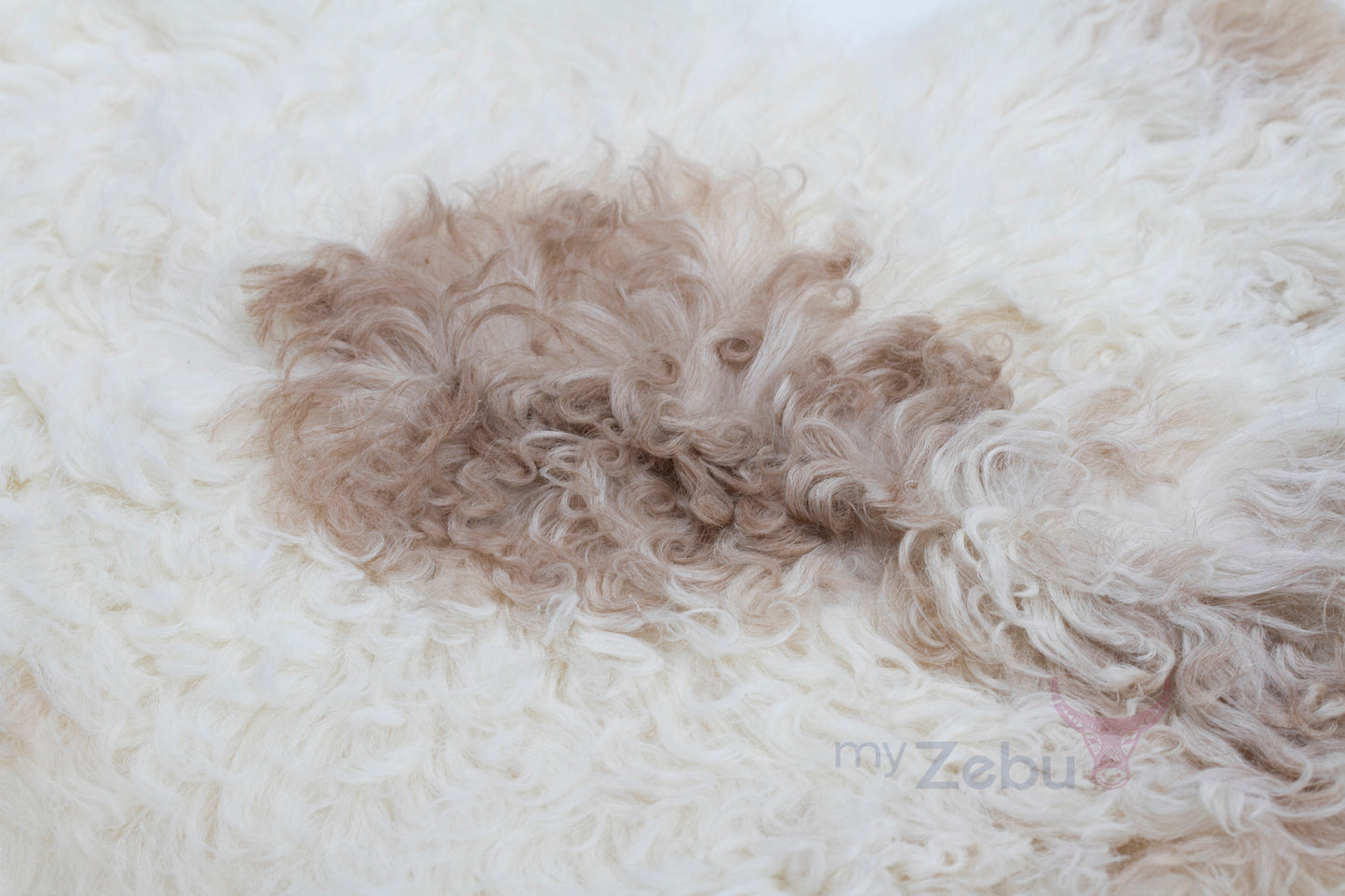 Curly Sheepskin - White