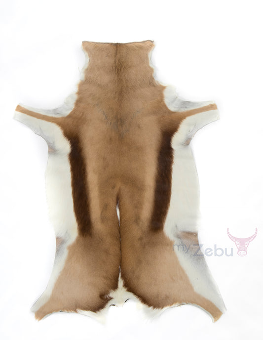 Springbok - Natural