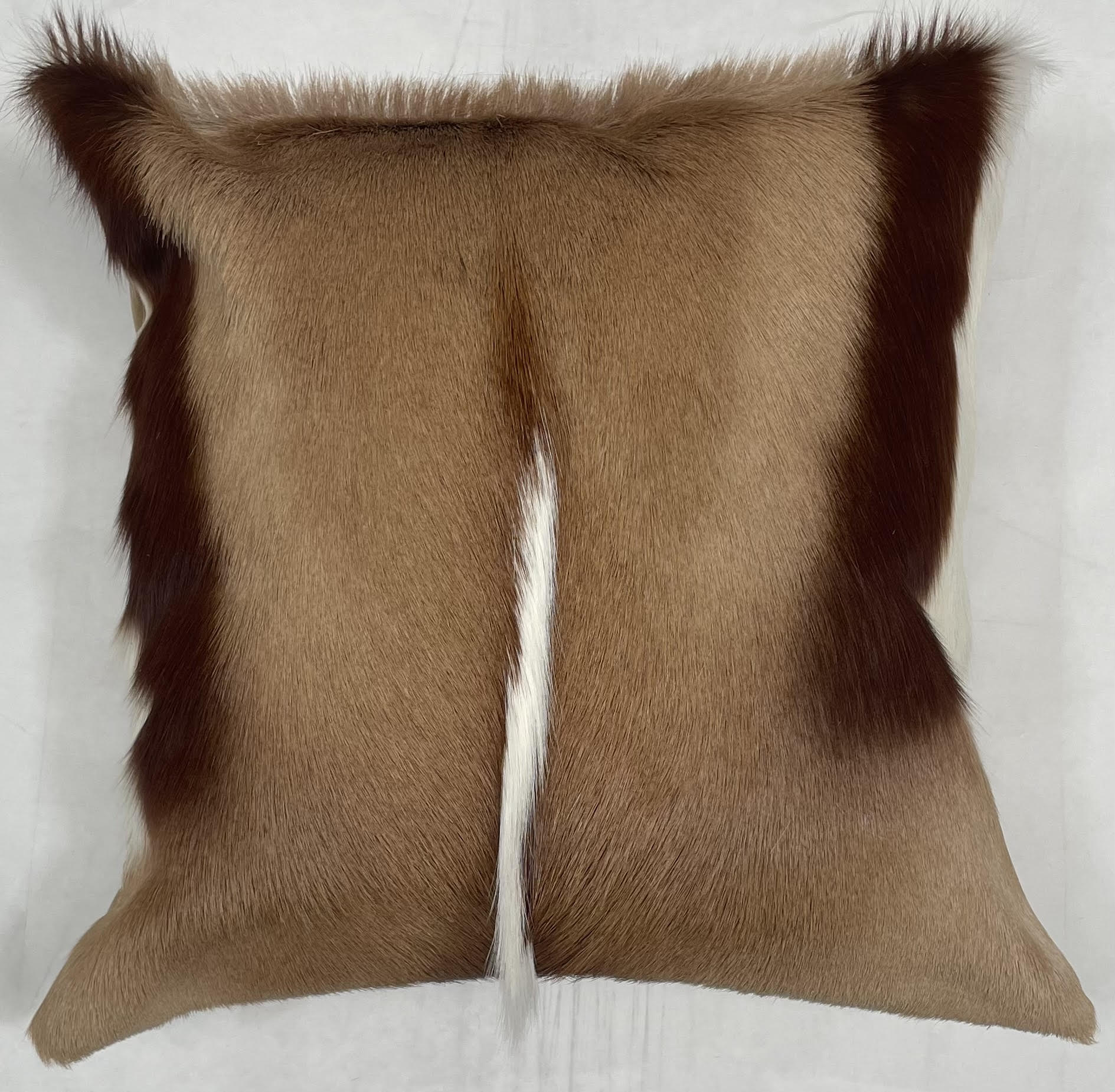 Springbok Rugstring Springbok scatter cushion - Natural – MyZebu